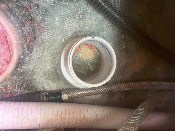 IMG_2793